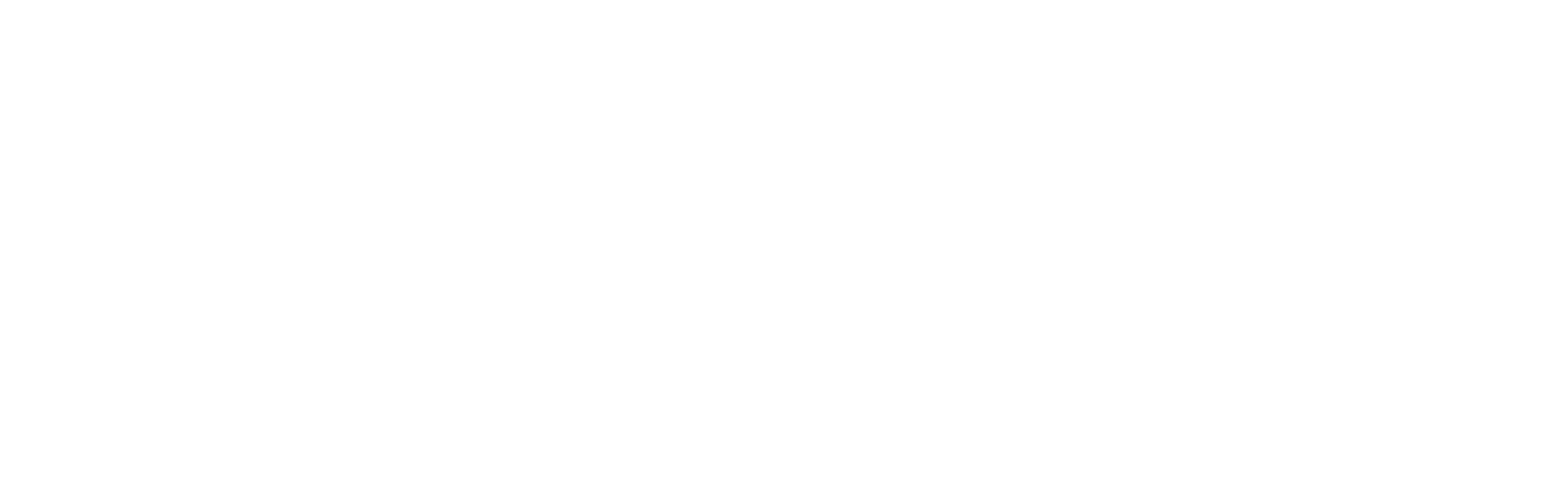 SLG RESEAU ENR